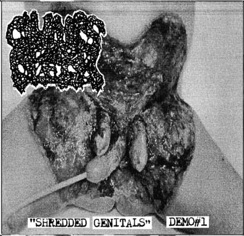Clumps Of Flesh : Shredded Genitals - Demo #1